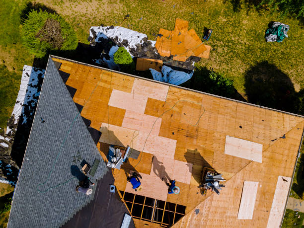 Roof Gutter Cleaning in Coldstream, KY