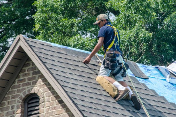Quick and Trustworthy Emergency Roof Repair Services in Coldstream, KY
